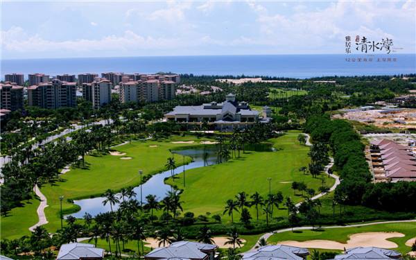 海南绿城清水湾91视频污污版案例